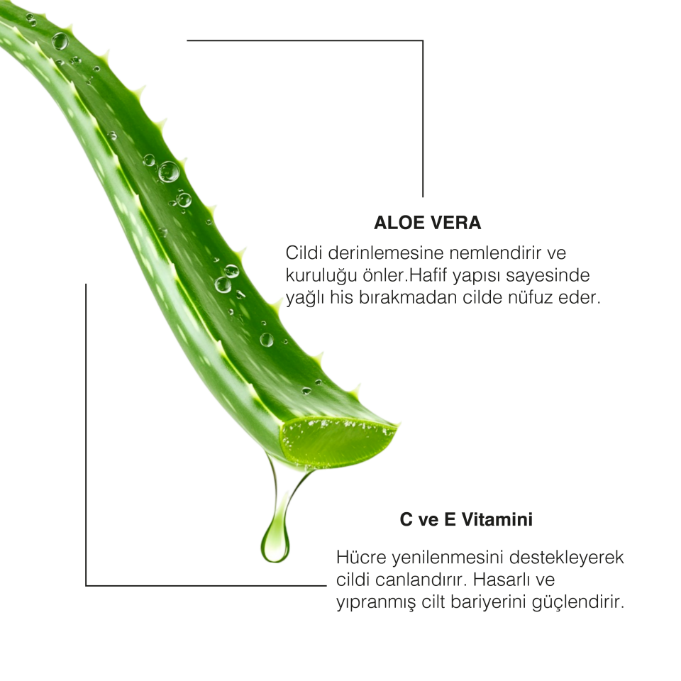 ALOEVERA ÖZLÜ EL YAPIMI DOĞAL SÜNGERLİ SABUN